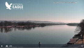 Eaglewatch Cam has a great view of the Mississippi River in Wabasha Minnesota from the National Eagle Center.