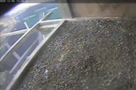 Web cam at the Boswell Energy Center near Cohasset Minnesota provide a closer look at the life of peregrine falcons, the fastest raptors on the planet